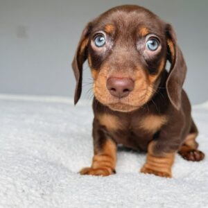Betty  |Female